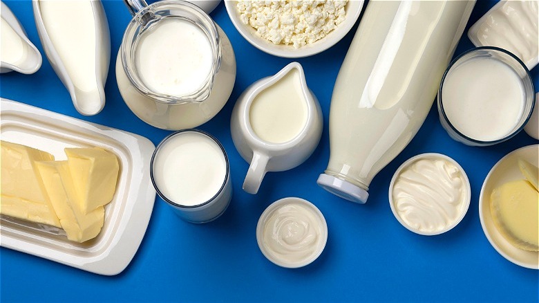 Variety of dairy products