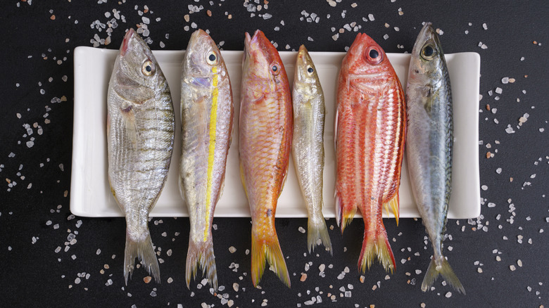 overhead shot of various whole fish on a white platter