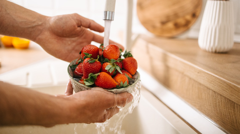 Man holding bowl of strawberries he's washing