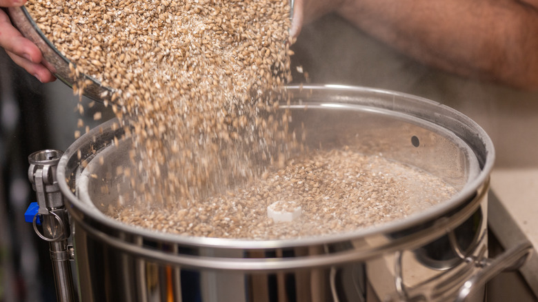 adding barley to water