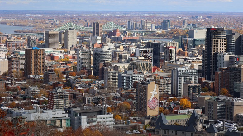 Montreal skyline stretching towards horizon