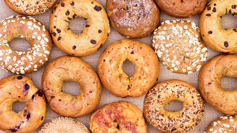 Assorted variety of bagels