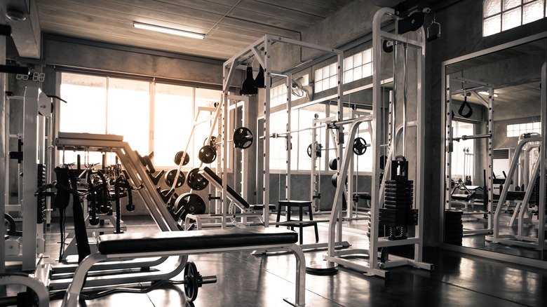 workout equipment filling health gym