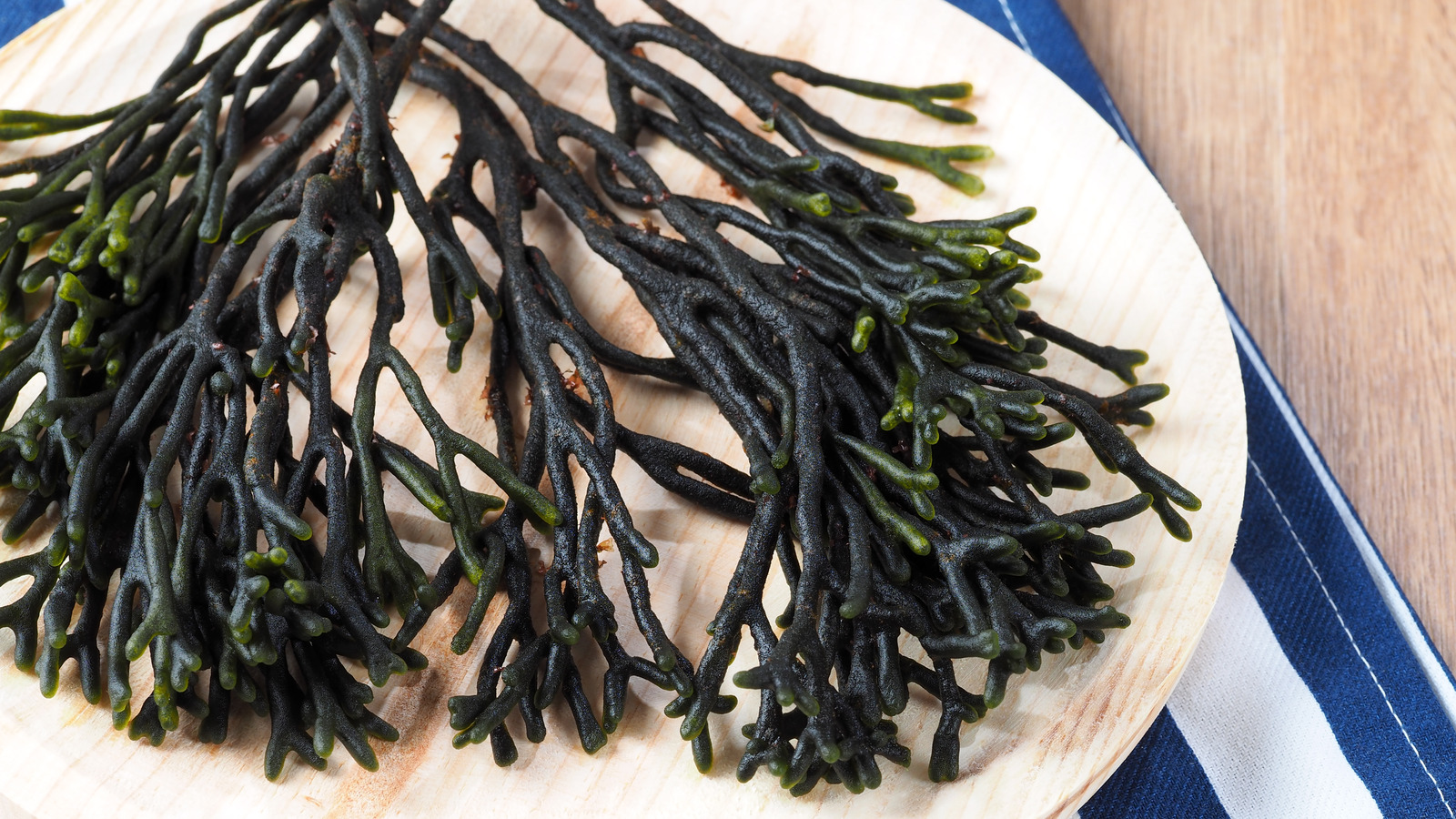 The Rare Seaweed Coveted By Michelin Star Chefs