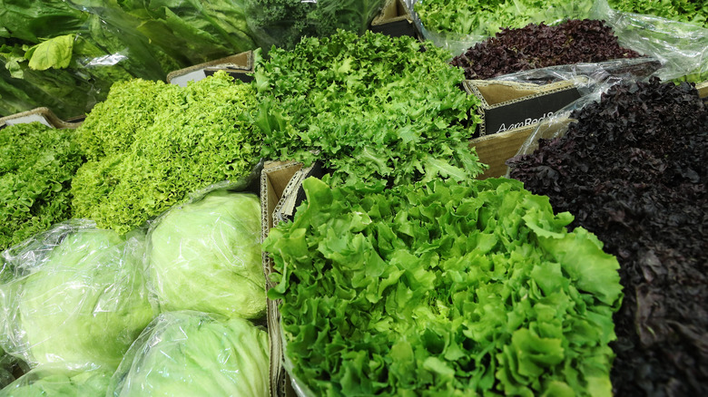 Lettuce varieties at market