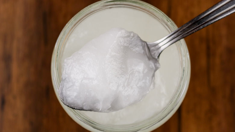 Semi-solid coconut oil on a spoon