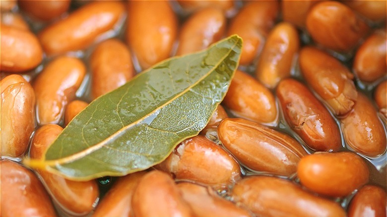 Bay leaf on top of stewed kidney beans