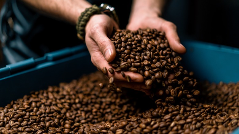 Hands holding coffee beans