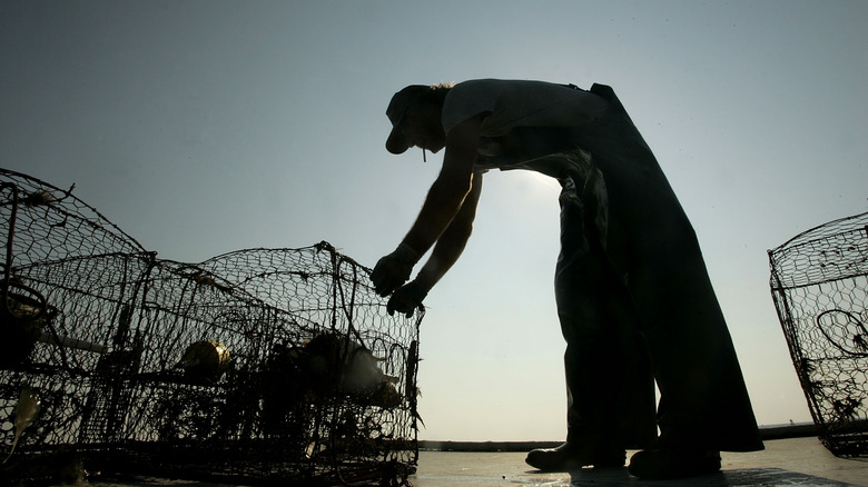 Crab fishing on the Chesapeake Bay