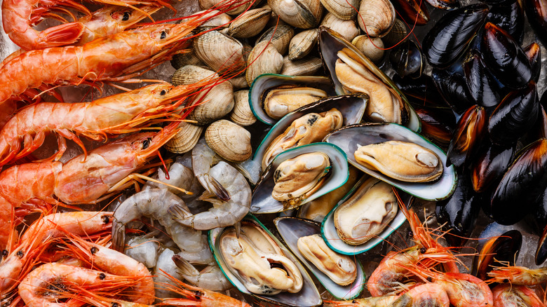 Clams, prawns, shrimp, and mussels on ice