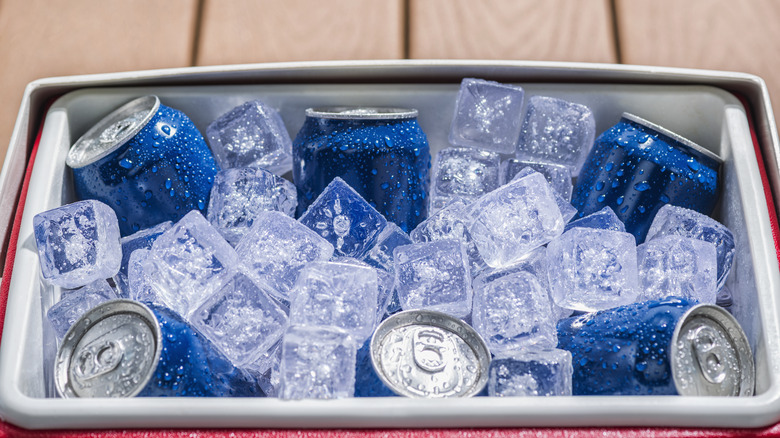 cooler filled with cans and ice