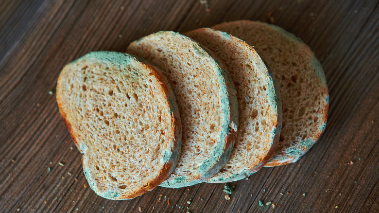 Moldy slices of bread