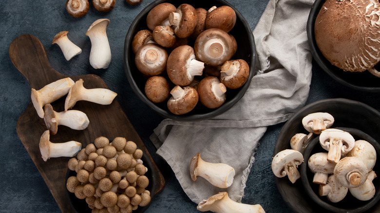 Various mushrooms on a grey-scale background