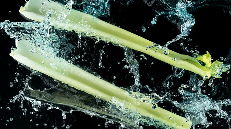 celery in water