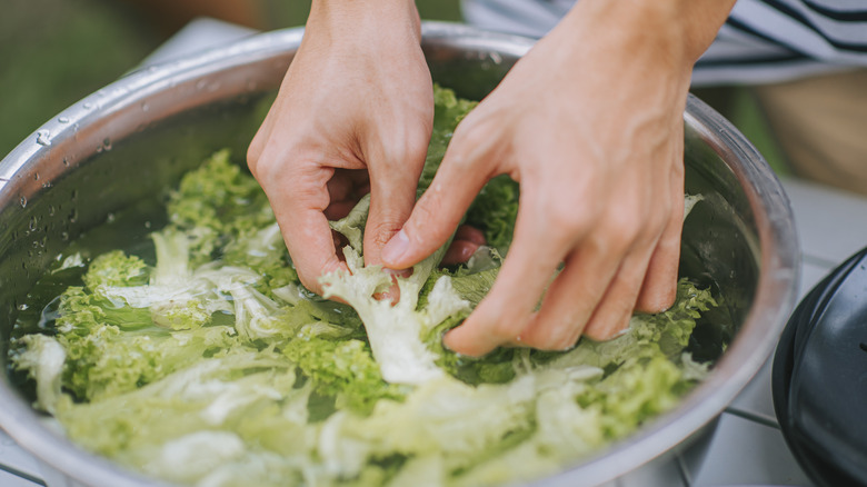 salad greens in water