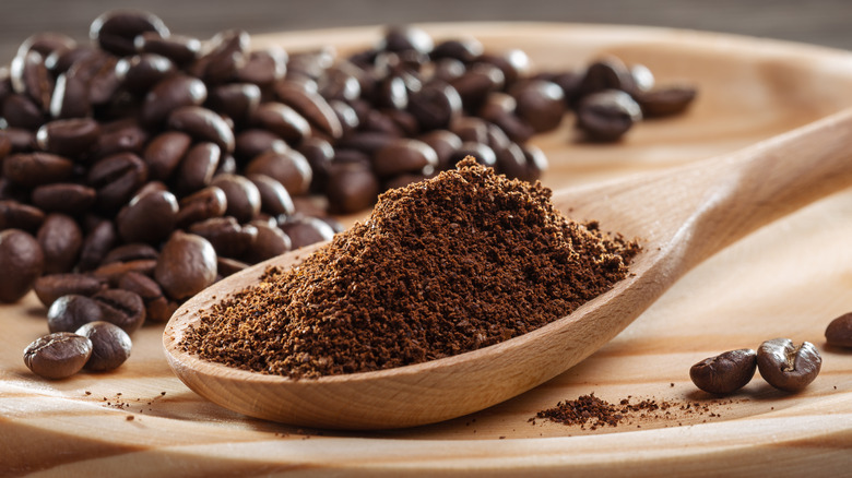 Ground coffee on wooden spoon 