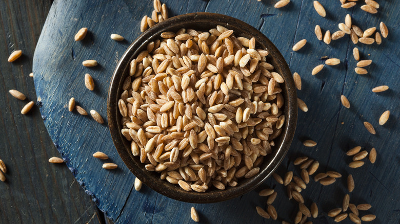 Raw farro in bowl