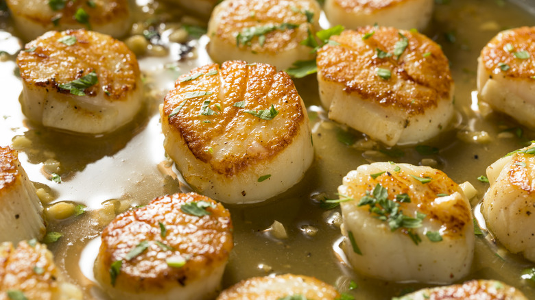 Scallops in butter and garlic