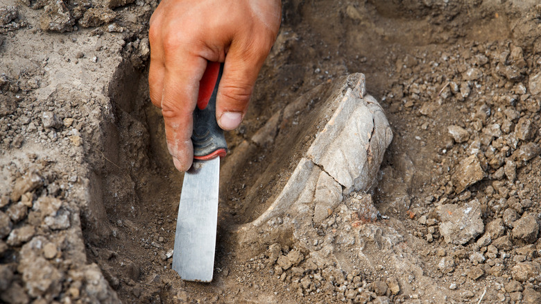 archaeologist excavating