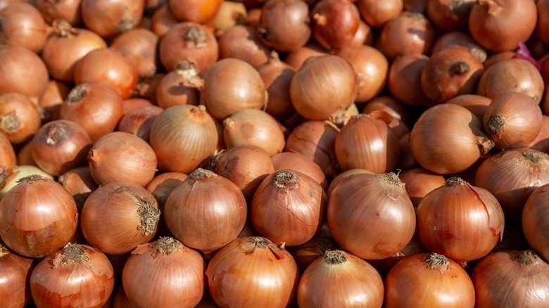 unpeeled onions in a large pile