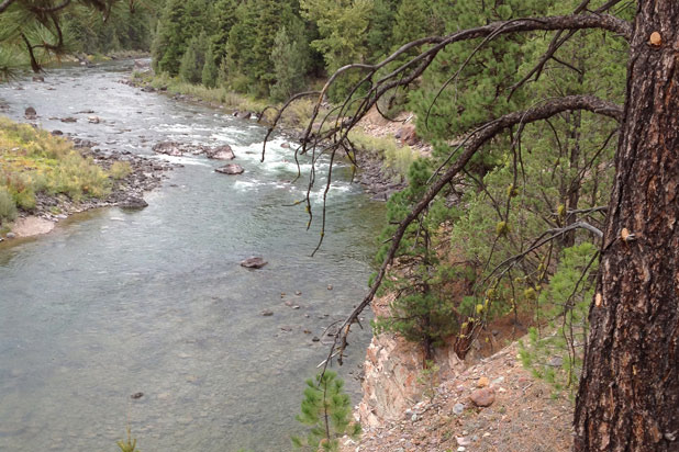 Montana Wilderness