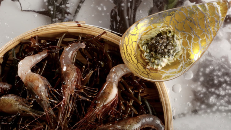 elBulli tea shrimp with caviar anemones