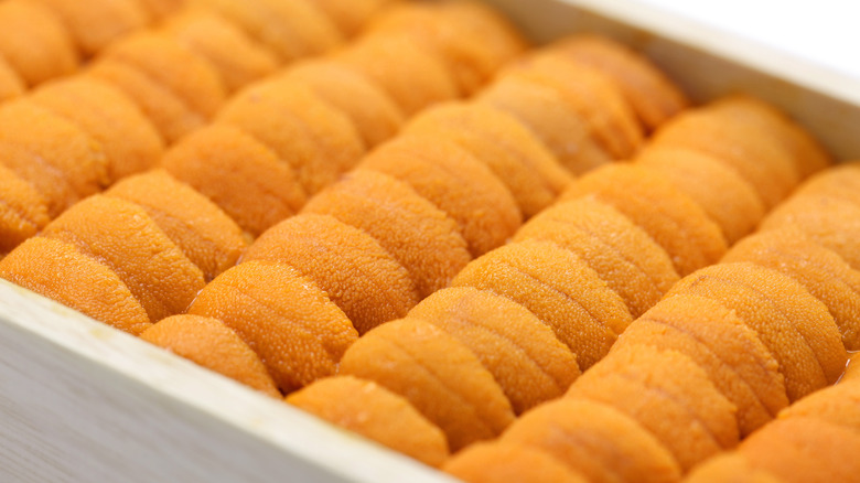 rows of uni in a wooden box