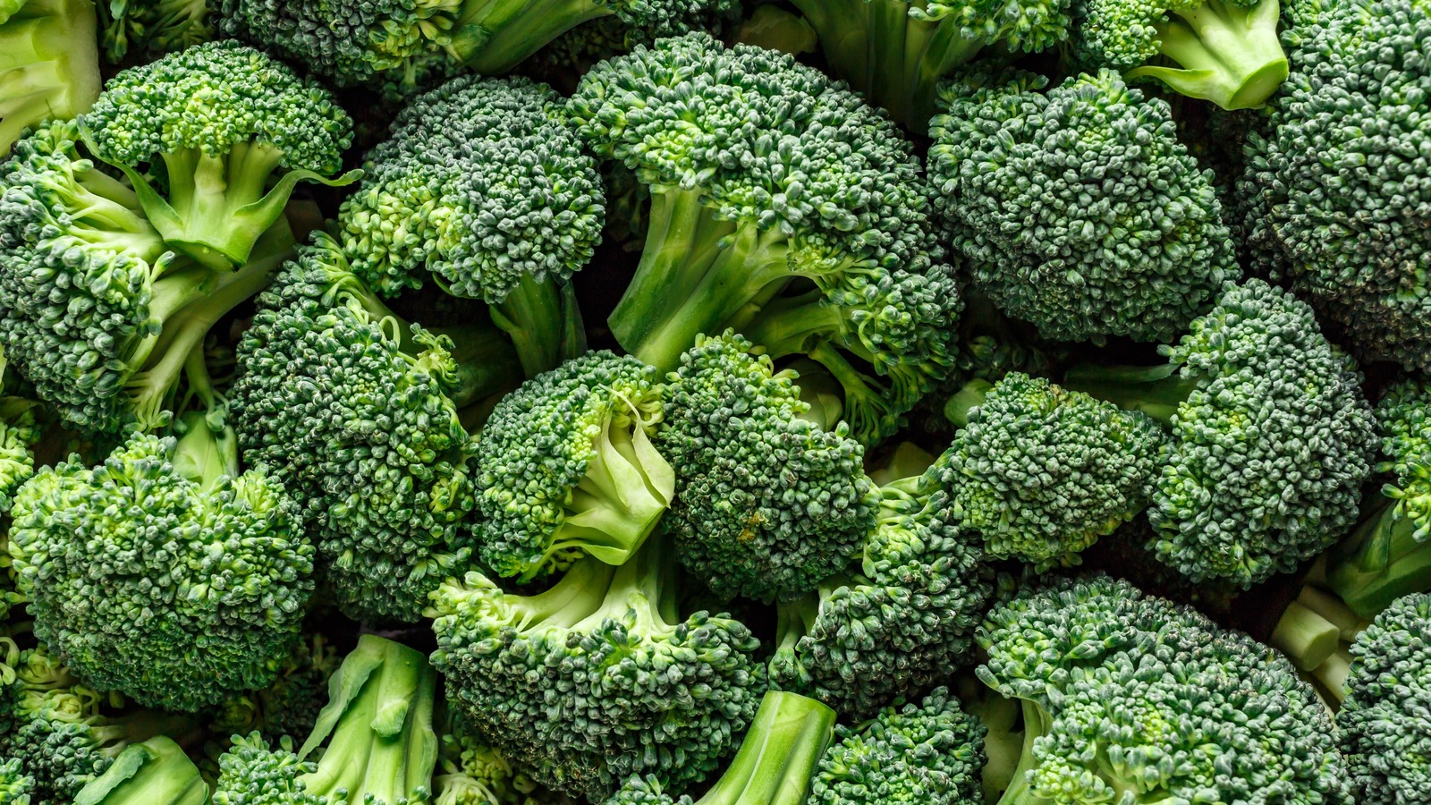 White background broccoli Stock Photos, Royalty Free White background broccoli  Images | Depositphotos