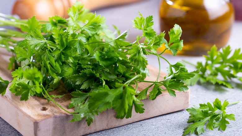 Fresh parsley on wooden board