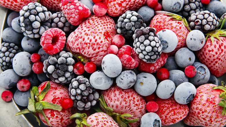 close-up shot of a variety of frozen berries