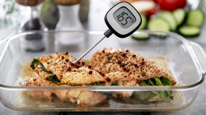 meat thermometer