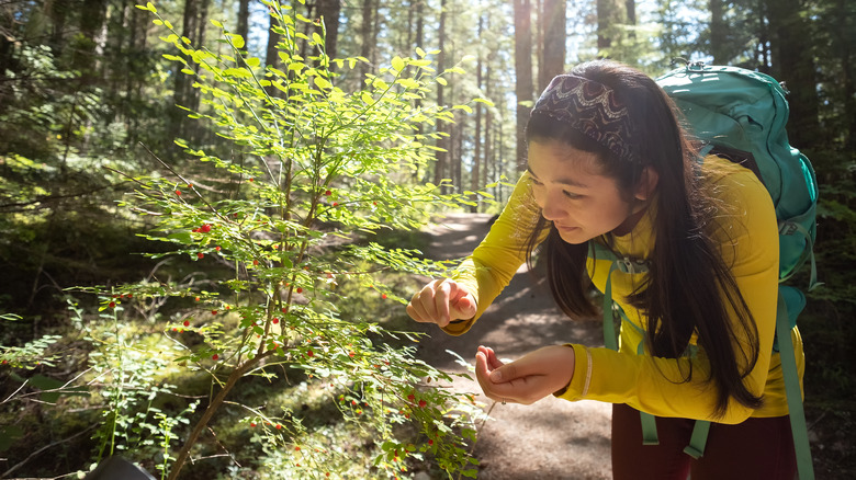 woman foraging