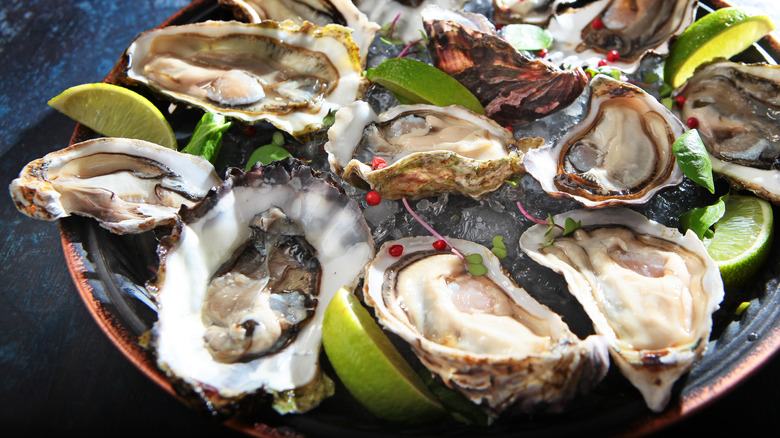 Raw oysters served in shells over ice