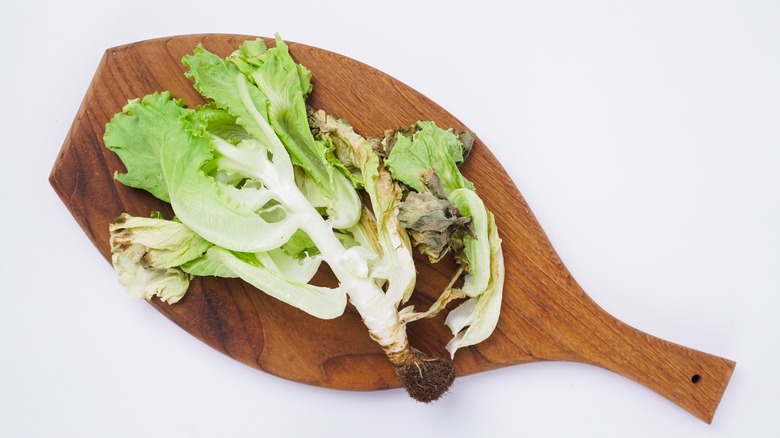 wilted lettuce on wooden board