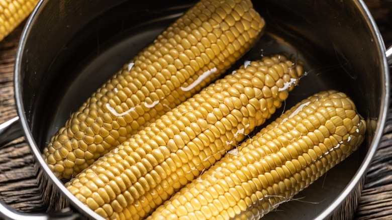 Ears of corn in water