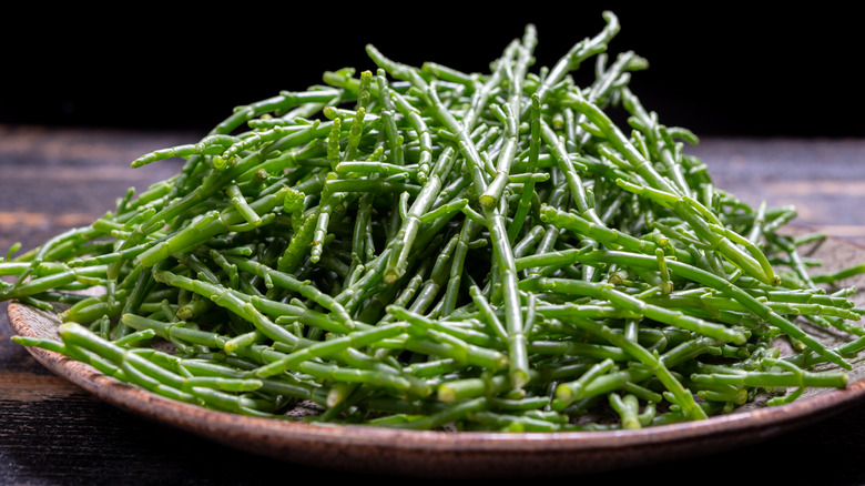 Salicornia on plate