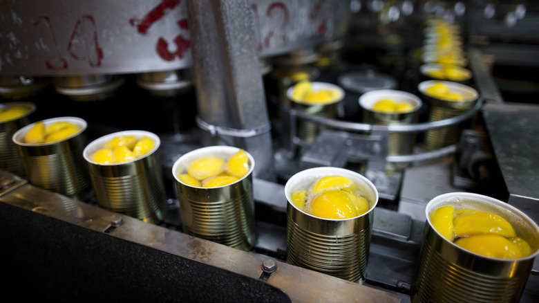 peaches being canned at factory