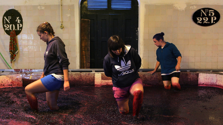 people stomping port wine grapes