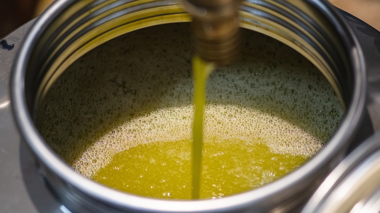 Fresh olive oil flowing from a spout into a metal container