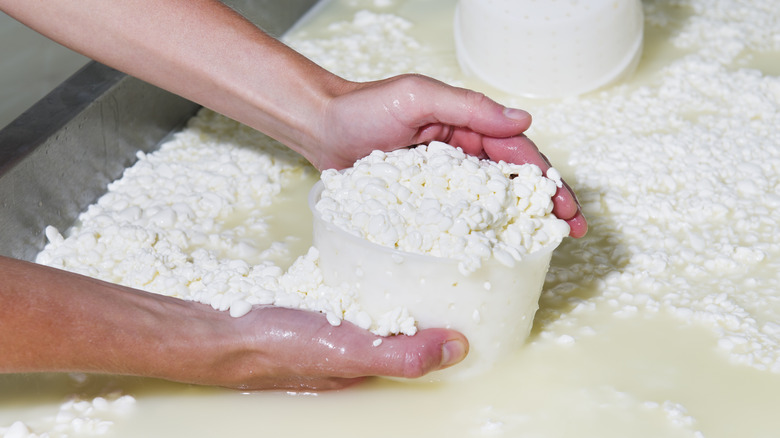 Person handling intentionally curdled cheese