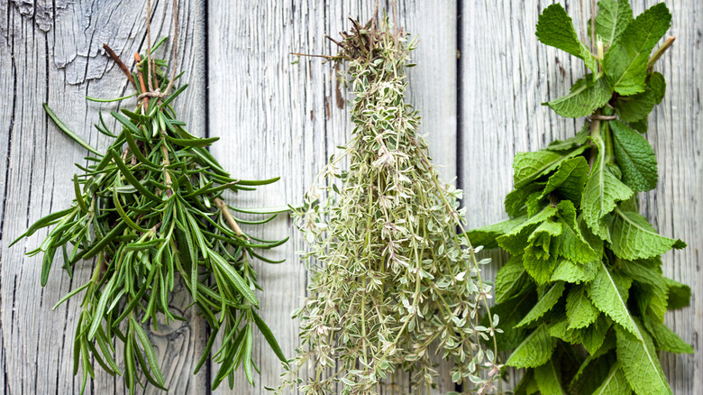 Fresh herbs hung up to dry