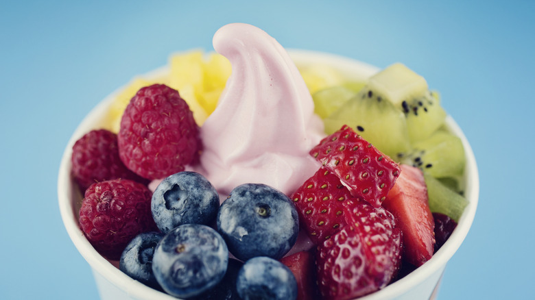 Frozen yogurt with fruits