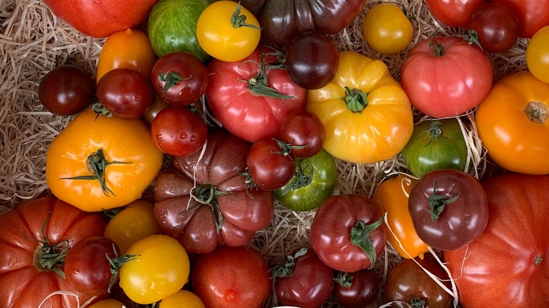 Assortment of different heirloom tomatoes