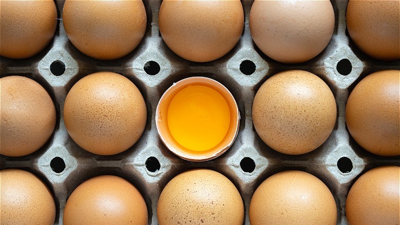 Brown eggs in carton 