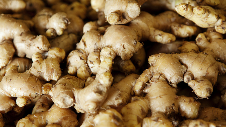 Assortment of fresh ginger 