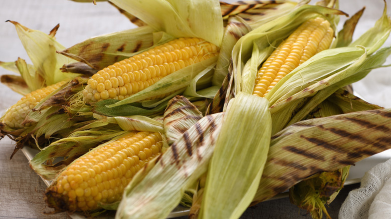 Corn Husk Recipes And More: Using Corn Husks From The Garden