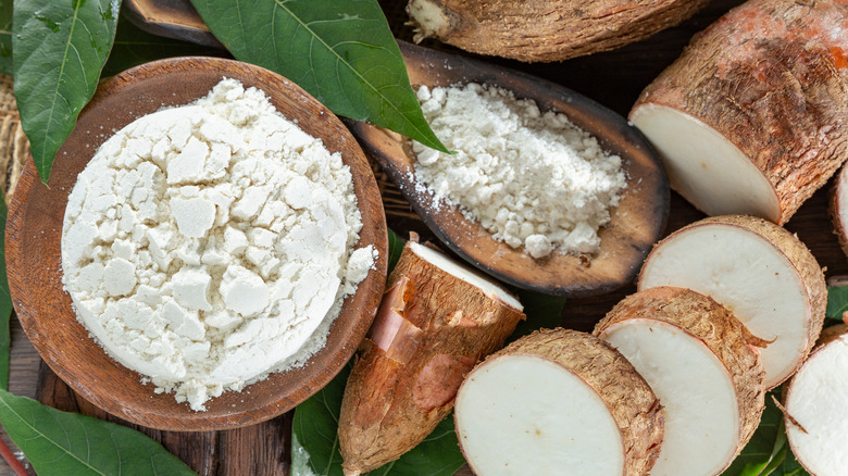 tapioca starch and cassava root