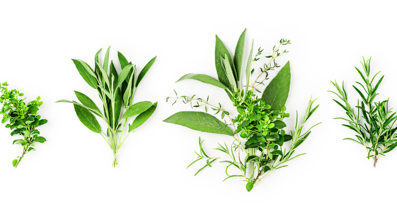 herbs on a white surface