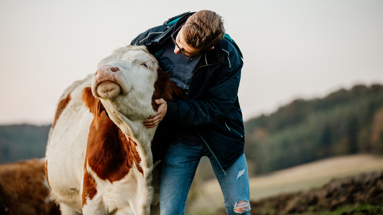 A farmer with their cow