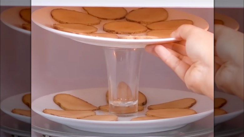 Person placing a plate of sliced potatoes on a shot glass in a microwave